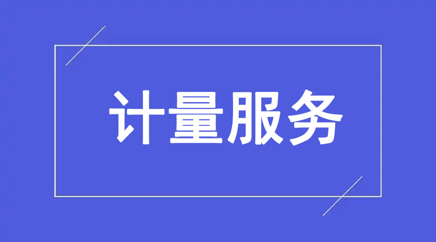 计量服务项目