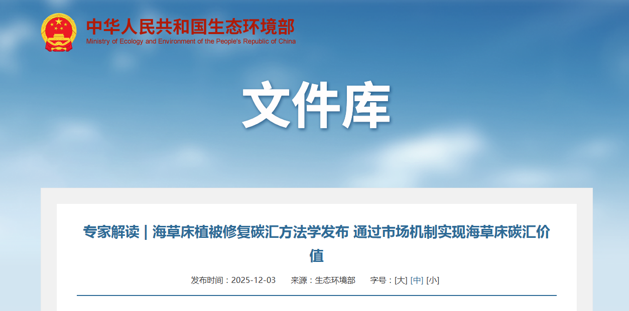 专家解读 | 海草床植被修复碳汇方法学发布 通过市场机制实现海草床碳汇价值